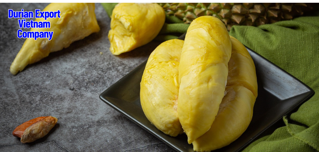 Premium Monthong Durian from Vietnam: Your Global Supply Partner 1 Durian Export Vietnam Company 3