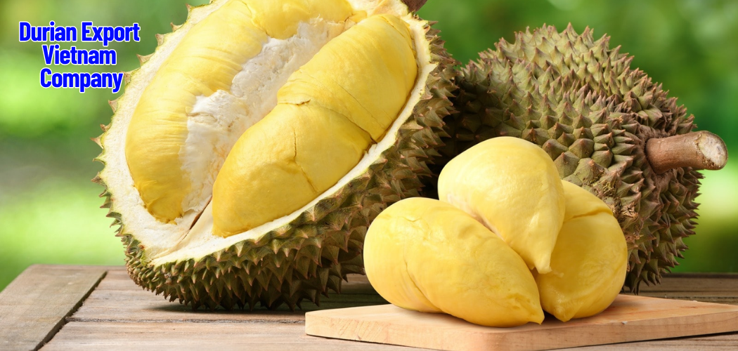 Premium Vietnamese Durian Products – Top Quality at Low Price 1 Durian Export Vietnam Company 5