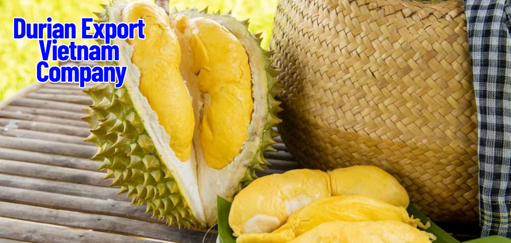 Durian Export Vietnam Company